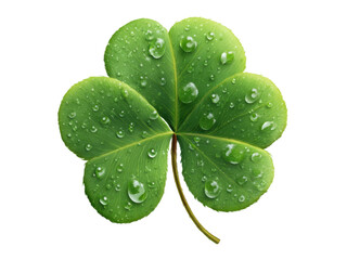 Vibrant green clover leaf adorned with glistening water droplets image, Isolated, Png Transparent Background