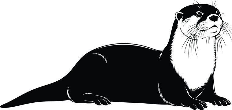 black and white otter lying down clip art preview