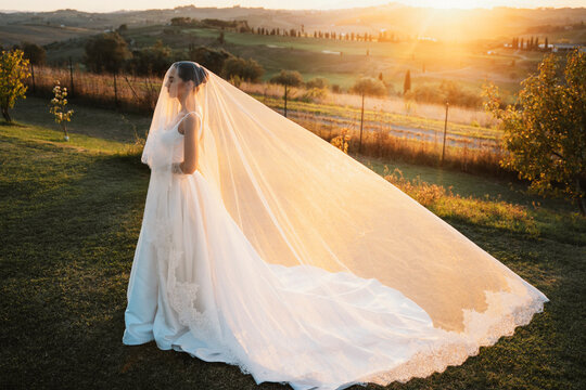 Bride in a Veil Standing in Sunset Landscape
