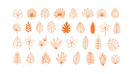 A collection of tropical leaves, with plants standing out against a white background. A large assortment of cute doodle floral icons, featuring flowers, all drawn in black with thin lines.