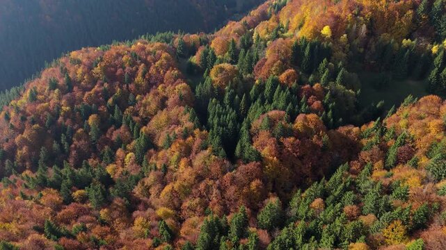 Aerial top view above colorful autumn forest and mountain valey