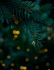 Christmas tree branch and yellow lights garlands blurred in bokeh.