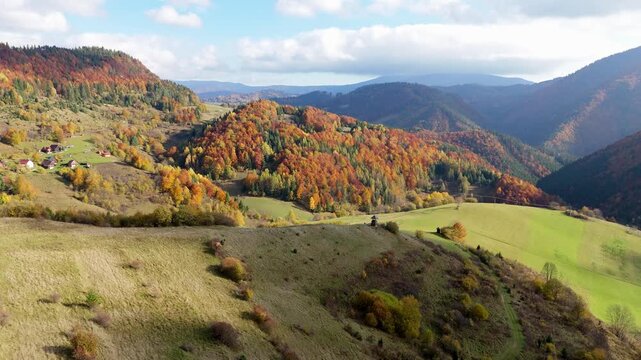 Aerial top view above colorful autumn forest and mountain valey