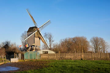 A rustic wooden windmill stands tall under a clear blue sky, surrounded by bare winter trees and a vibrant green field. A symbol of tradition and natural power in a peaceful rural landscape.