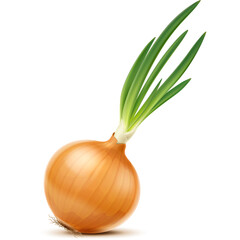 Single Fresh Brown Onion With Green Sprouts Isolated On White Background Studio Shot