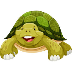 Smiling Green Tortoise With Detailed Shell Against White Background