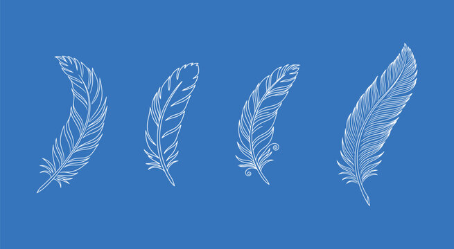 Set of four detailed white line art illustrations of soft falling bird feathers on a bright blue background, representing lightness and freedom.