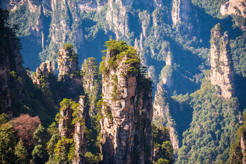 Avatar mountains in Zhangjiajie, China. Natural landmark and popular travel destination