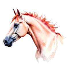 Watercolor horse head on a white background. Perfect for greeting cards, clip art, nursery posters, animal-themed decor, children illustrations, prints, and creative DIY projects.
