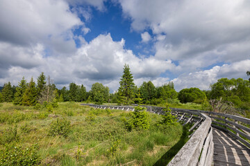 Boardwalk winding through Bieszczady moorland wetland