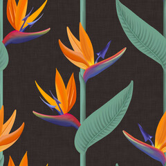 Strelitzia Tropical Pattern