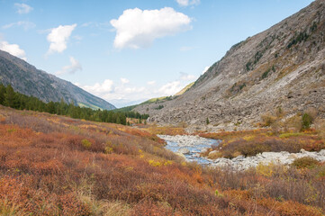 Part of Akchan valley in late august with mountain river in the foreground, the Altai Republic, Russian Federation