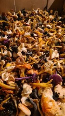 Une belle récolte de petits champignons d'automne (trompettes, girolles, petits violets, pieds de mouton, chanterelles en tube)