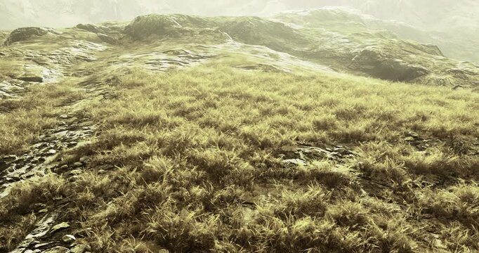 A vast area of grassy land spreads across uneven rocky terrain, illuminated by gentle sunlight. The natural landscape showcases bumpy surfaces and patches of green grass.