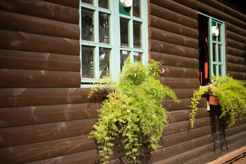 Plants on the window. Log house in the old style.