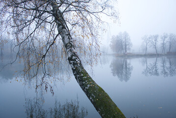 foggy morning in the lakein Tarka Jaworzno polish old holiday resort © pinus25