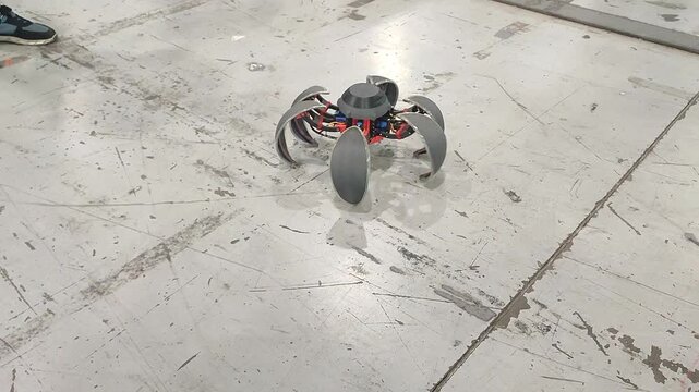 Moving small robot on remote control. Radio controlled robot. Small robot folds into ball and moves on blades. Technology engineering. Industry new robotics. Smart technologies. Robotized innovative