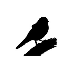 Black Bird Silhouette Vector on White Background