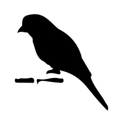 Black Bird Silhouette Vector on White Background