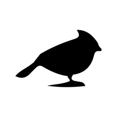 Black Bird Silhouette Vector on White Background