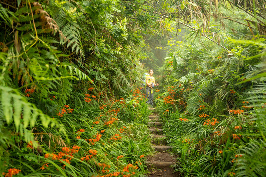 A hiker exploring a lush forest path surrounded by green ferns and orange wildflowers in Madeira Island, Portugal. Concept of adventure, eco tourism, and connection with nature.