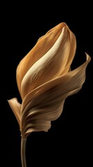 Golden Flower on Black Background