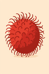 rambutan fruit vector