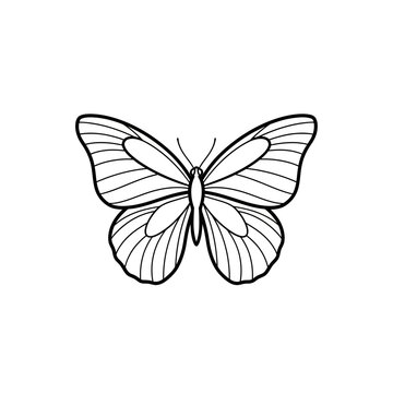 tumi je prompt dile thik ache, kintu ami cacchi realistic r obossoi white background. ami image ber kore png baniye adobe stock a upload korbo bujhecho? tai tumi realistic and white background dibe r 