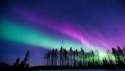 Purple And Green Aurora Northern Lights Over Tree Line