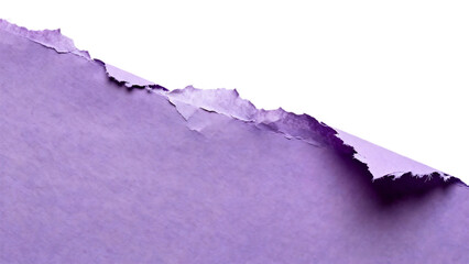 Torn Purple Paper Edge Revealing White Surface.