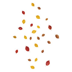 Autumn leaves falling from the trees in a beautiful display of colors.