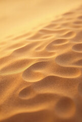 a close up view of golden sand dunes under sunlight