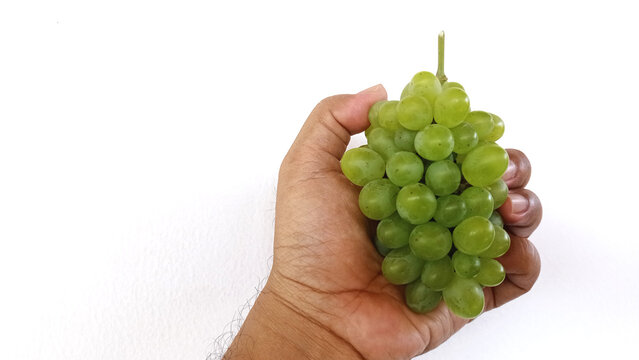 A close-up shot of a hand gently holding a vibrant bunch of fresh green grapes against a bright white background