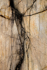 태국여행 이야기