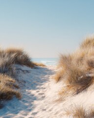 Sandy pathway through beach dunes leading to the ocean under clear blue sky, peaceful coastal landscape with dry grass and sunlight
