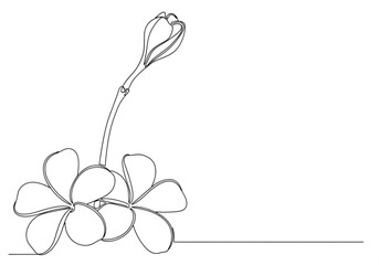 Continuous line drawing of a plumeria flower