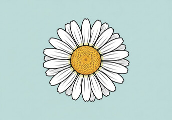 A single daisy flower with white petals and a yellow center on a light blue background