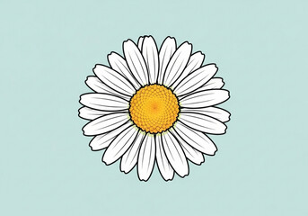 A simple white daisy flower with a yellow center on a light blue background