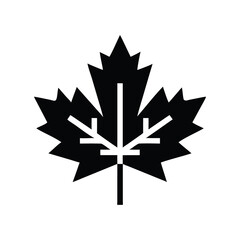 Maple leaf silhouette isolated on white background isolated on transparent background