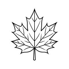 Maple leaf drawing isolated on white background autumn symbol nature element isolated on transparent background