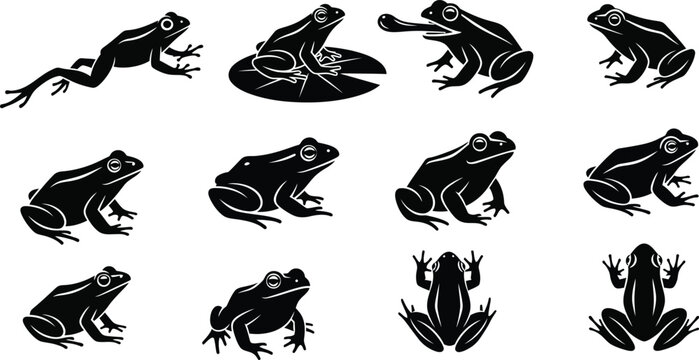 A collection of twelve stylized black frog silhouettes in various dynamic poses, isolated vector amphibian icon set 43
