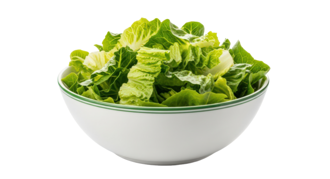 Fresh cut green romaine lettuce in a white bowl with green rim isolated on transparent background