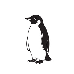 Fototapeta premium Elegant emperor penguin illustration, vector image