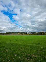 Green meadow under blue sky with clouds and distant trees in autumn.