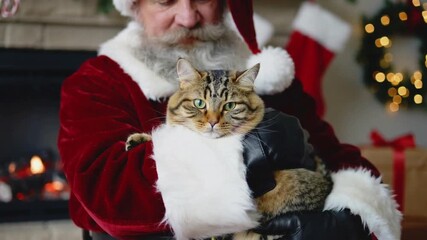 A person in a Santa suit lovingly holds a cat in front of a warm fireplace, Ideal for holiday greetings video motion 4k, pet-related content, or festive promotional materials,