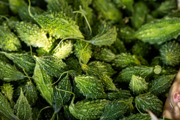 Background image of a bitter herb called Bitter Gourd, a food that helps treat diabetes and high blood pressure.