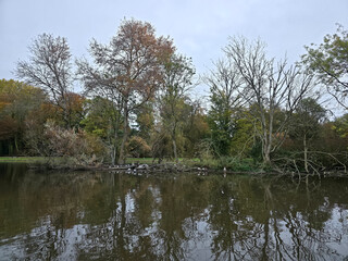 Beautiful lake reflecting autumn trees under cloudy sky, peaceful park view in seasonal nature.