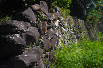 城跡の古い石垣20251108