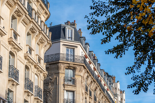 Fa&ccedil;ades d'immeubles r&eacute;sidentiels parisiens classiques le long d'une avenue bord&eacute;e d'arbres. Concept de march&eacute; immobilier d'habitation pour les logements anciens en France et &agrave; Paris