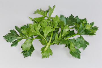 Fresh celery stem with dark green leaves on gray background